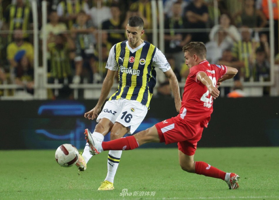 戴维斯杯世 戴维斯杯世